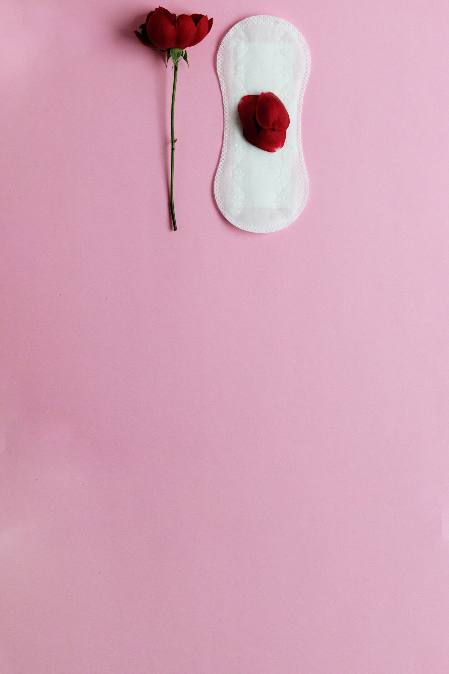 The Four Phases Of Menstruation